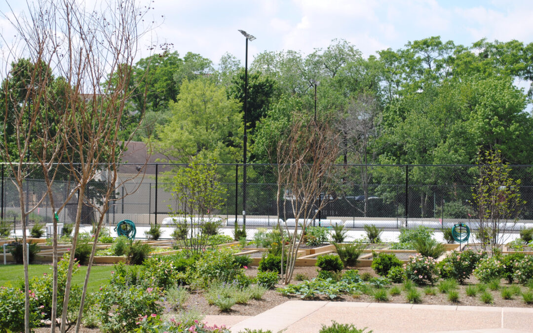 Pro Grounds Arlington Landscape