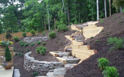 Benefits of Mulching