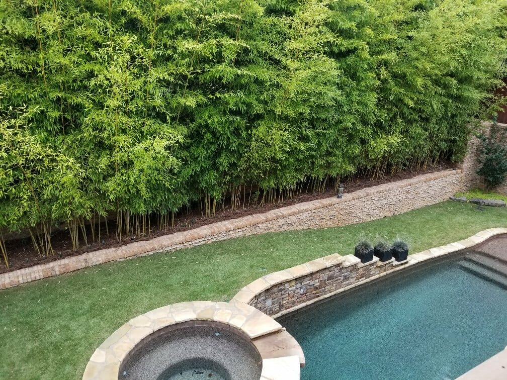 Bamboo privacy screen